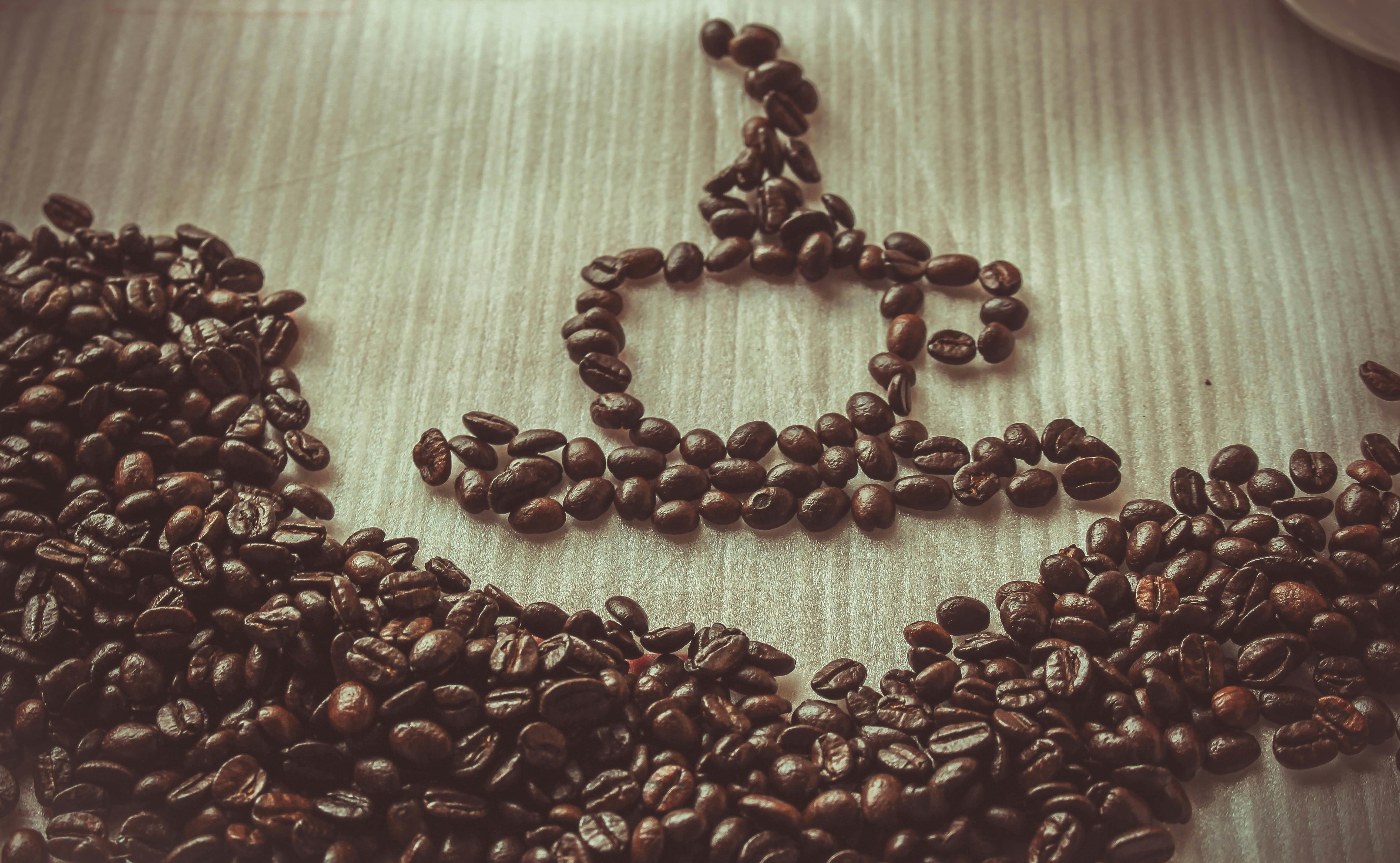 Brewtopia Organic Coffee Beans